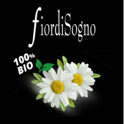 FioridiSogno - Camomilla